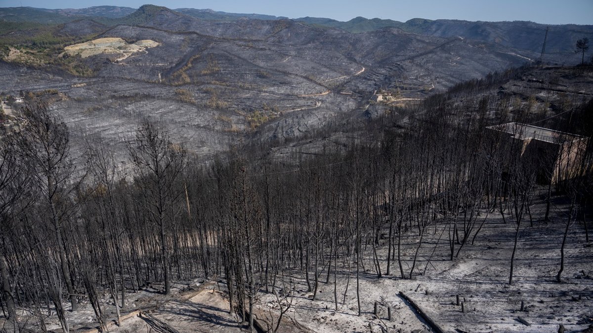 Torka i spanska Katalonien tvingar myndigheter att ransonera vatten. I somras brann stora skogsområden på grund av hetta och torka. Arkivbild.