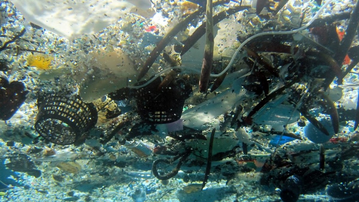 Det vimlar av plast i haven, visar ny forskning.
