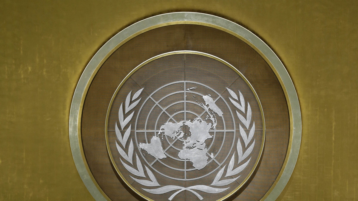 Beslutet togs natten till lördagen av FN. 