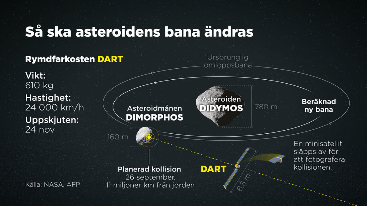 I natt svensk tid kolliderar rymdfarkosten Dart med asteroidmånen.