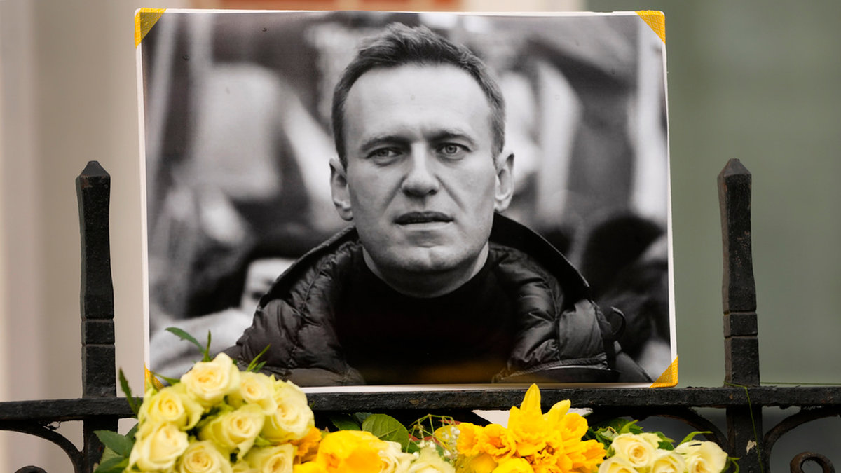 Blommor vid ett porträtt på den döde Aleksej Navalnyj utanför den ryska ambassaden i London, vid ett av många spontana minnesplatser för regimkritikern.