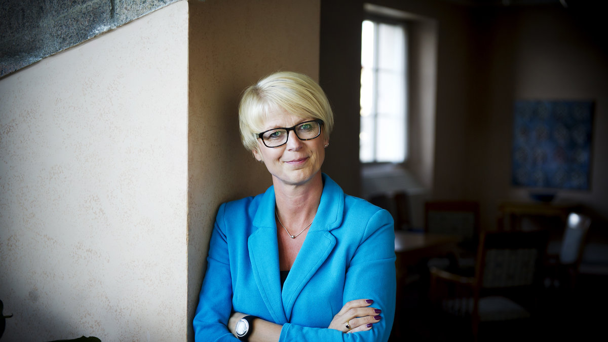 Elisabeth Svantesson (M), arbetsmarknadsminister: 828 600 kronor. (Svantesson satt ej i regeringen under inkomståret 2012)