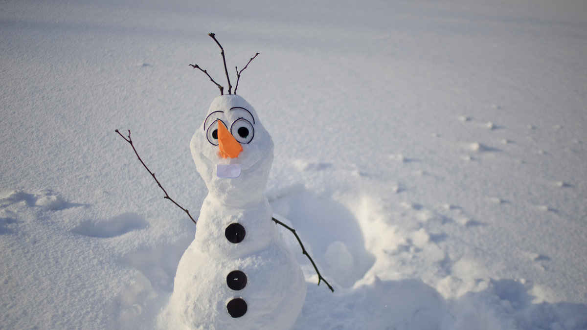 Och bygga snögubbar, till exempel inspirerade av filmen Frost. 