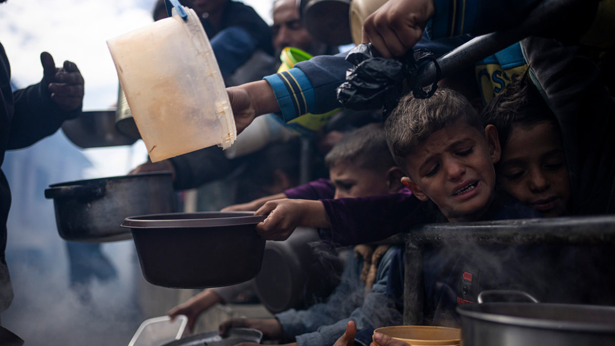 Palestinier köar för ett gratis mål mat i Rafah på södra Gazaremsan. Bild tagen 16 februari.