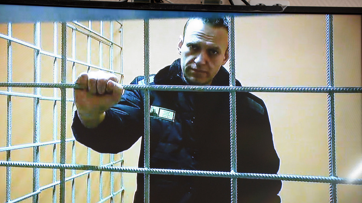 Den ryske oppositionsledaren Aleksej Navalnyj på videolänk från fängelset.