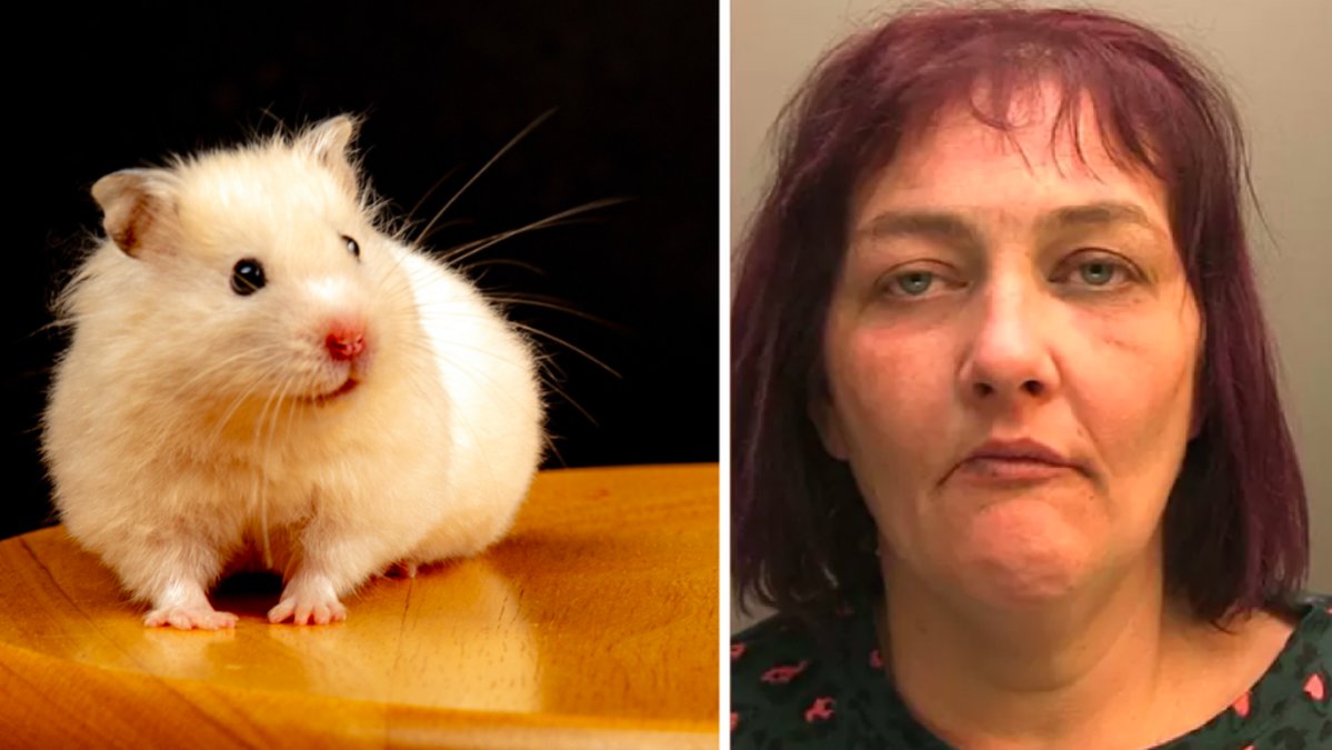 Kvinnan mördade sin hamster med kniv och åt den