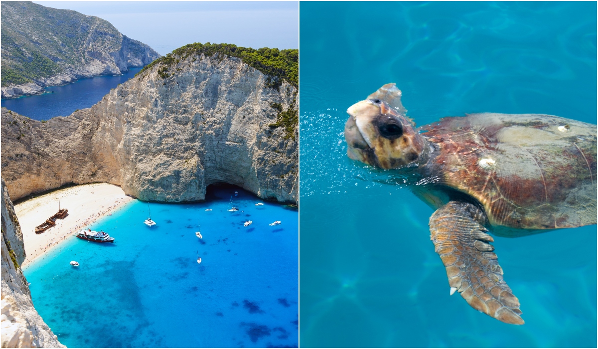 Zakynthos, Grekland Zakynthos, Grekland