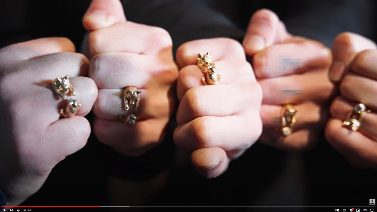 Bild från musikvideo där rävringar som kopplas till Foxtrotnätverket syns. En liknande ring såldes nyligen av Kronofogden på auktion, men köparen betalade aldrig. Arkivbild.