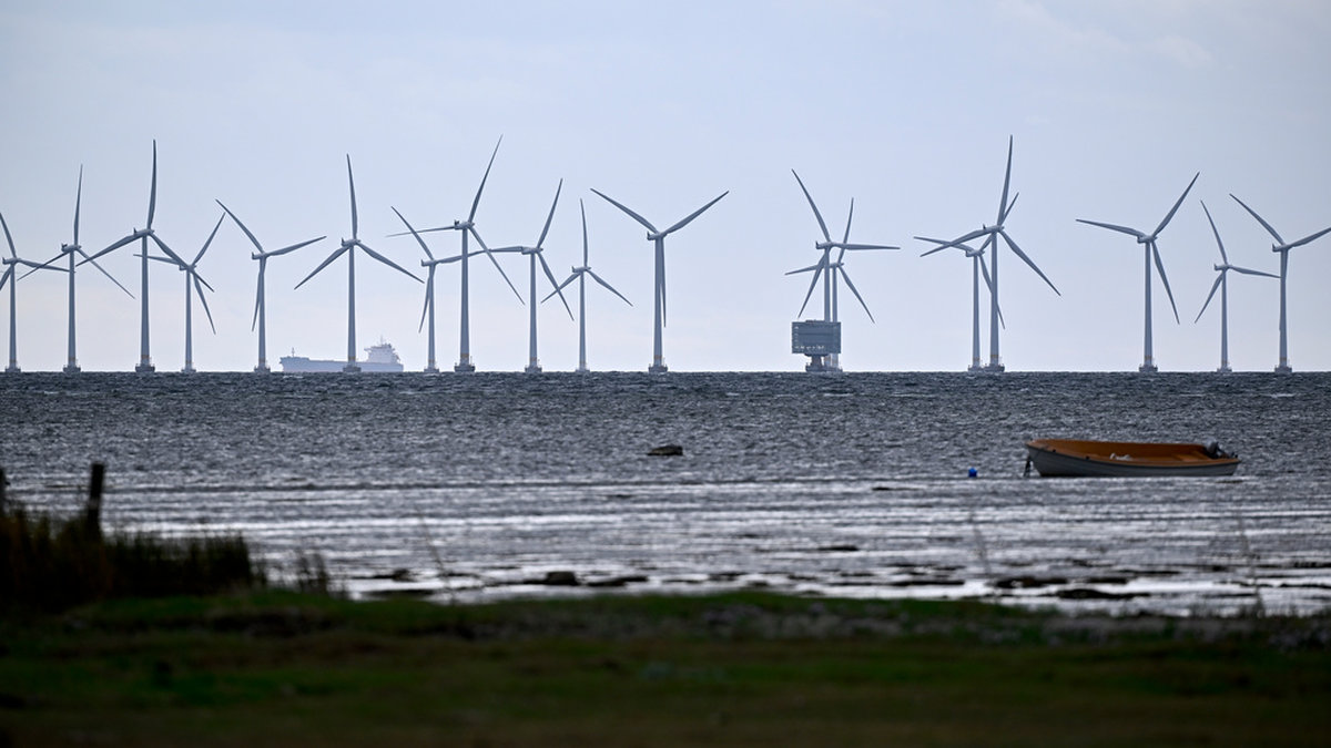 Den planerade vindkraftparken Triton blir om den byggs med sina 1,5 gigawatt betydligt större än dagens största havsbaserade vindkraftpark i Sverige: Lillgrund utanför Bunkeflostrand, med en toppeffekt på 110 megawatt. Arkivbild