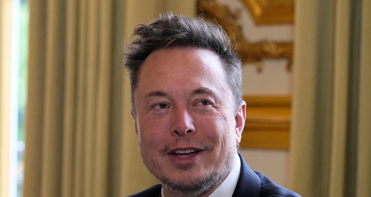Elon Musk, Louis Vuitton, Fendi, TT