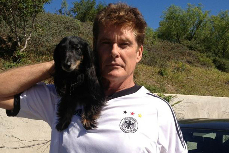 David Hasselhoff har hittat en ny vän. Det kan han också behöva. David Hasselhoff har hittat en ny vän. Det kan han också behöva.