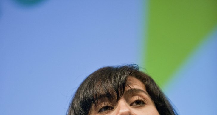 Abir Al-Sahlani, Misstänkt, Centerpartiet, Förundersökning