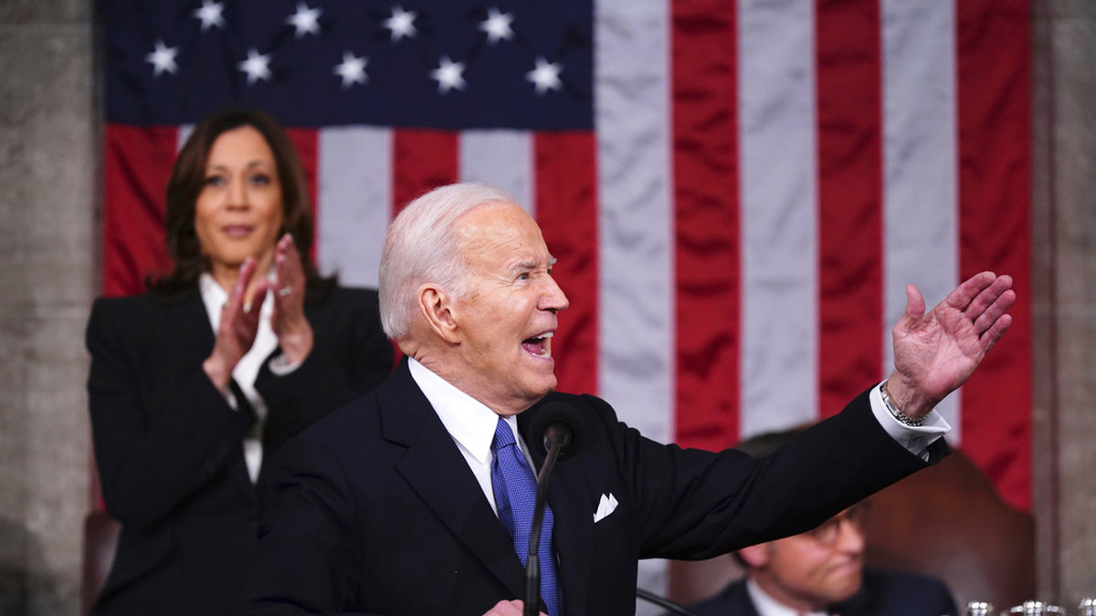 Den dryga timmen i talarstolen innebar en bra kvläll för president Joe Biden, inga gubbmoment, enligt en statsvetare.