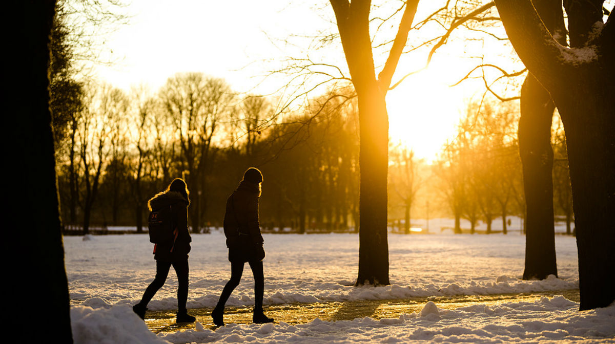 Forskning: Går du alltid fort? Då kommer du leva längre