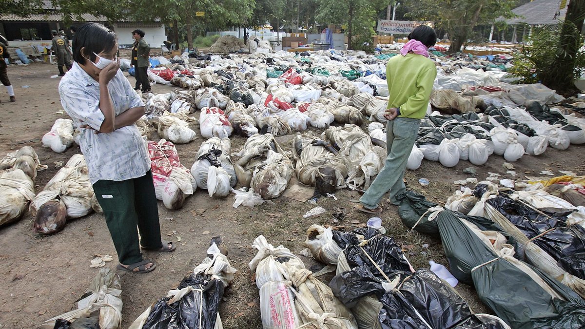 Utanför ett tempel i Takuapa, Thailand, där man samlat tusentals kroppar.
