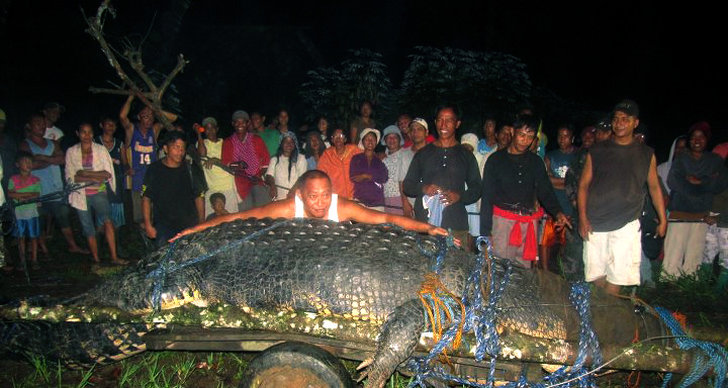 Guinness World Records, Krokodil, världens största, Världsrekord