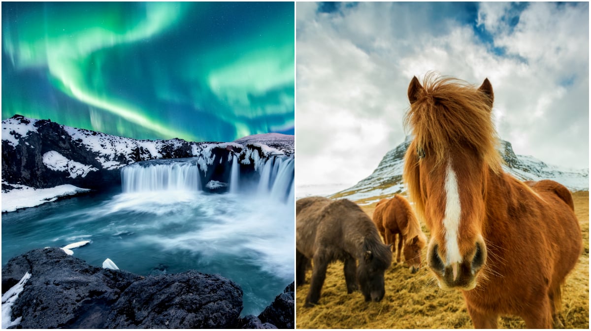Resa till Reykjavik Resa till Reykjavik