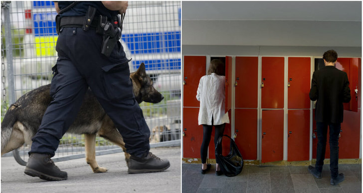 Hund, Sverige, Skolor, knark, Skola, Narkotika