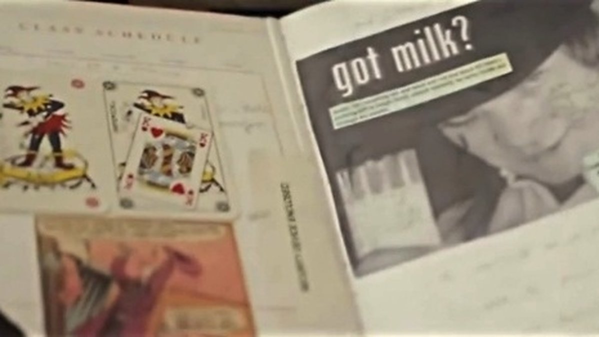 I dagboken fanns bland annat spelkort (främst jokrar), utklipp ur serier (främst jokern) och bilder på karaktärer från den dystopiska filmen A Clockwork Orange.