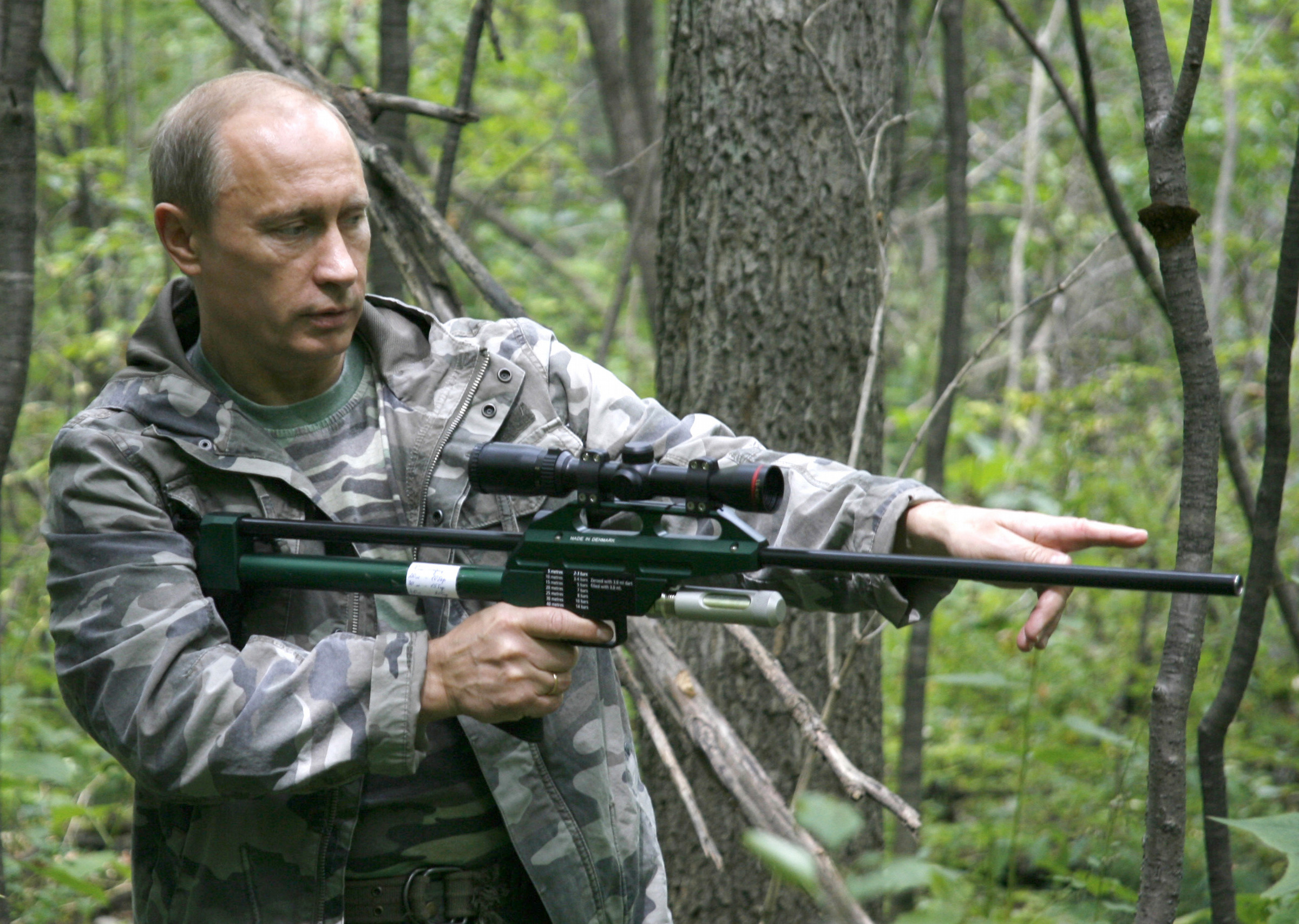 Vladimir skjuter en tiger med en bedövningspil.
