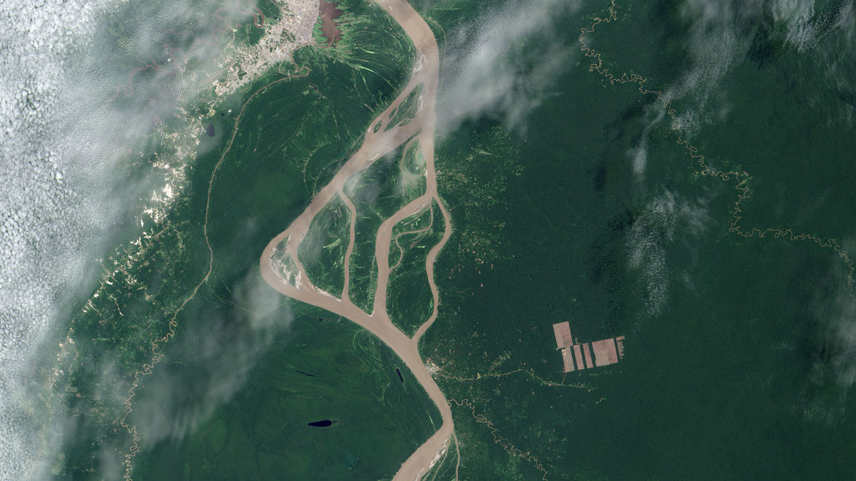 Rutan till höger i bild visar hur skogskövling sker i Amazonskogen i Peru.