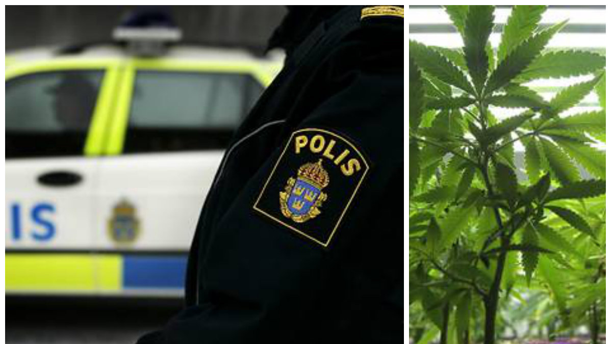 Fem gram cannabis försvann hos polisen. Trots det går åklagaren inte vidare med utredningen.