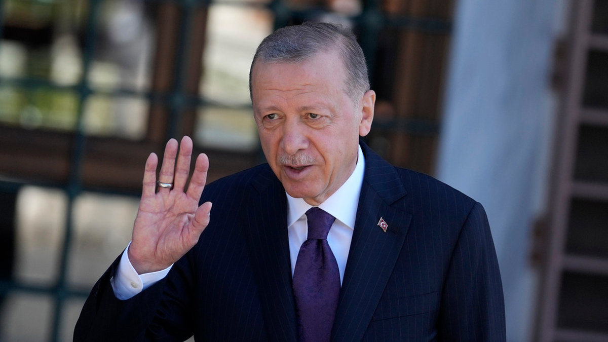 Enligt Turkiets president Recep Tayyip Erdogan kommer styrkor från Turkiet, USA, Frankrike, Storbritannien, Italien och Pakistan att bekämpa 'olika hot och särskilt terrorism' under fotbolls-VM i Qatar. Arkivbild.