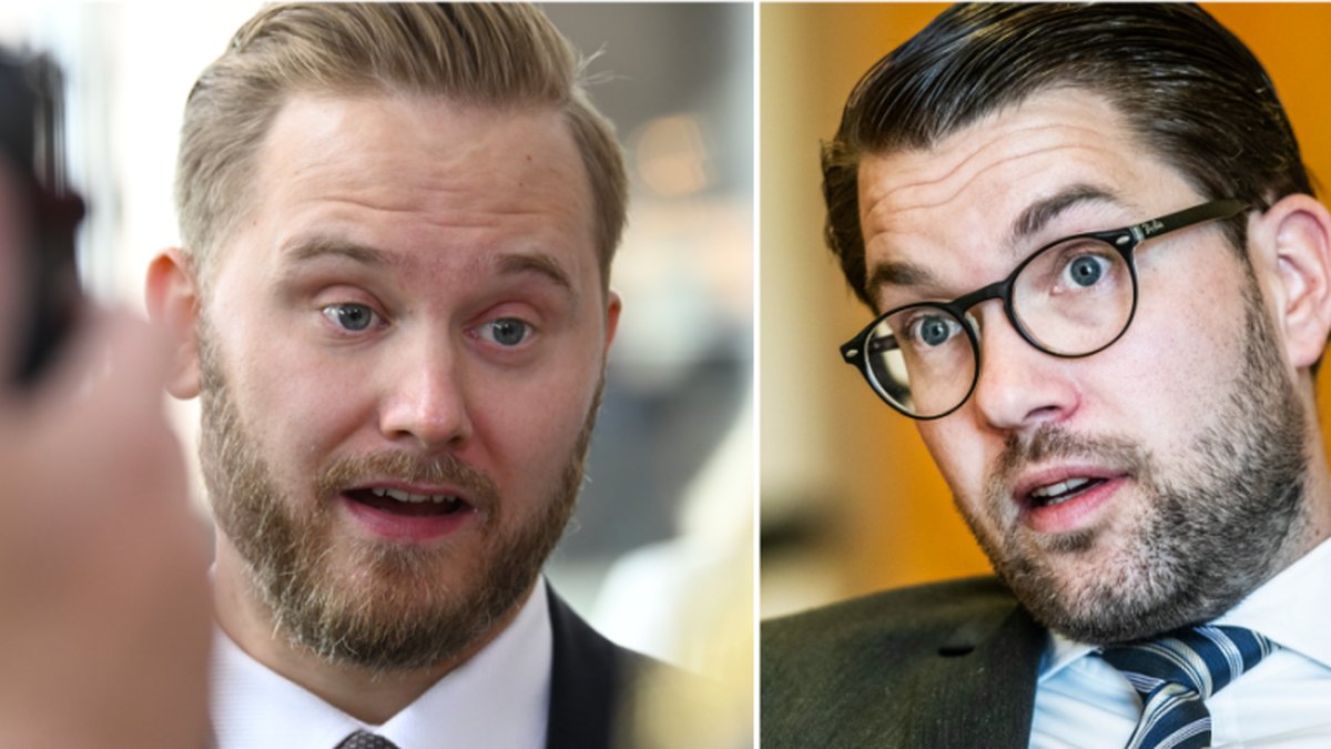 Så mycket tjänar Sverigedemokraternas riksdagsledamöter.