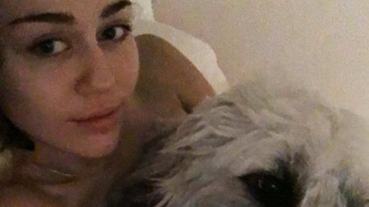 Miley Cyrus gosar med sin hund. 