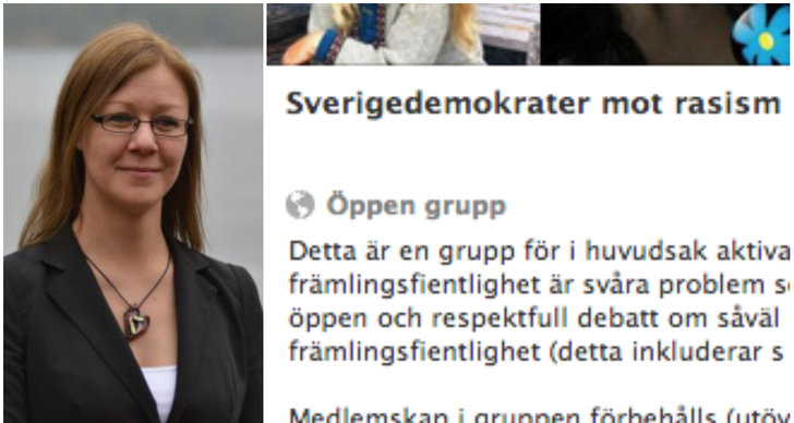 Facebook, Sverigedemokraterna, Rasism, Främlingsfientlighet, Therese Borg