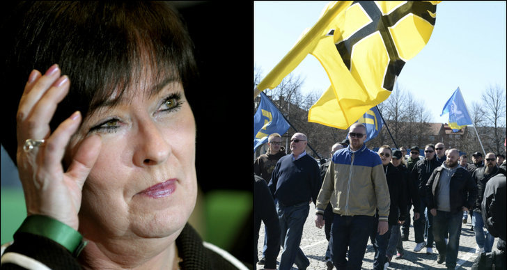 Almedalen, Förföljd, Mona Sahlin, K-G Bergström, Svenskarnas parti, Nazism