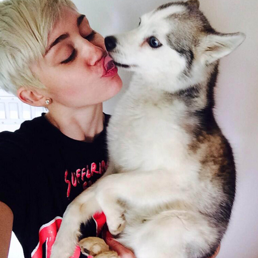 Miley sörjer sin hund som har gått bort. Miley sörjer sin hund som har gått bort.