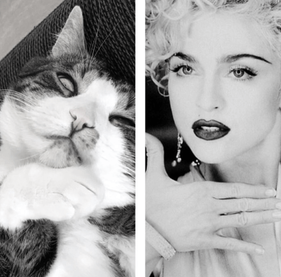 Madonna. Madonna.