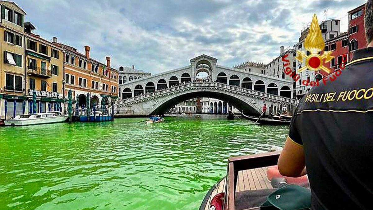 Rialtobron i Venedig med det gröna vattnet på söndagen.