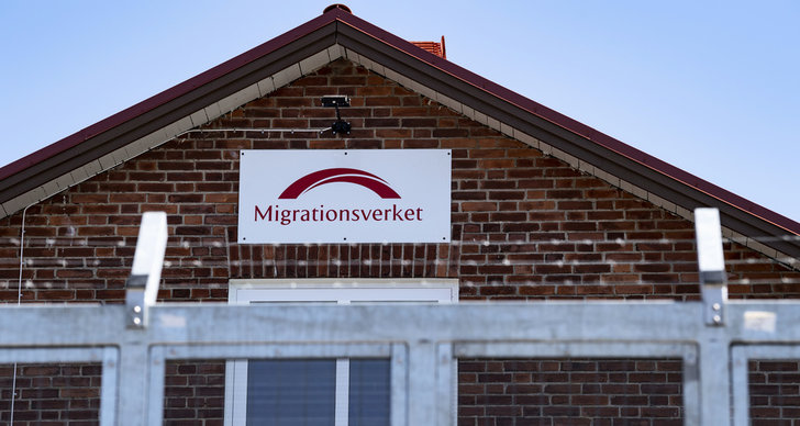 Migrationsverket, TT