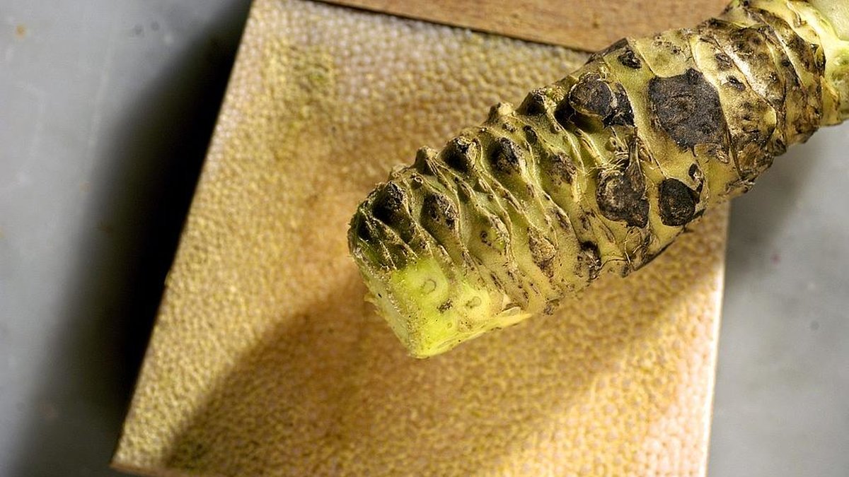 Wasabin växer vilt i Japan och är svår att odla i någon större utsträckning då den lätt får olika infektioner. Detta gör också den lilla knölen väldigt dyr. Riktig wasabi rivs traditionellt på ett verktyg som heter oroshigane, vars skrovliga yta är gjord av hajskinn.