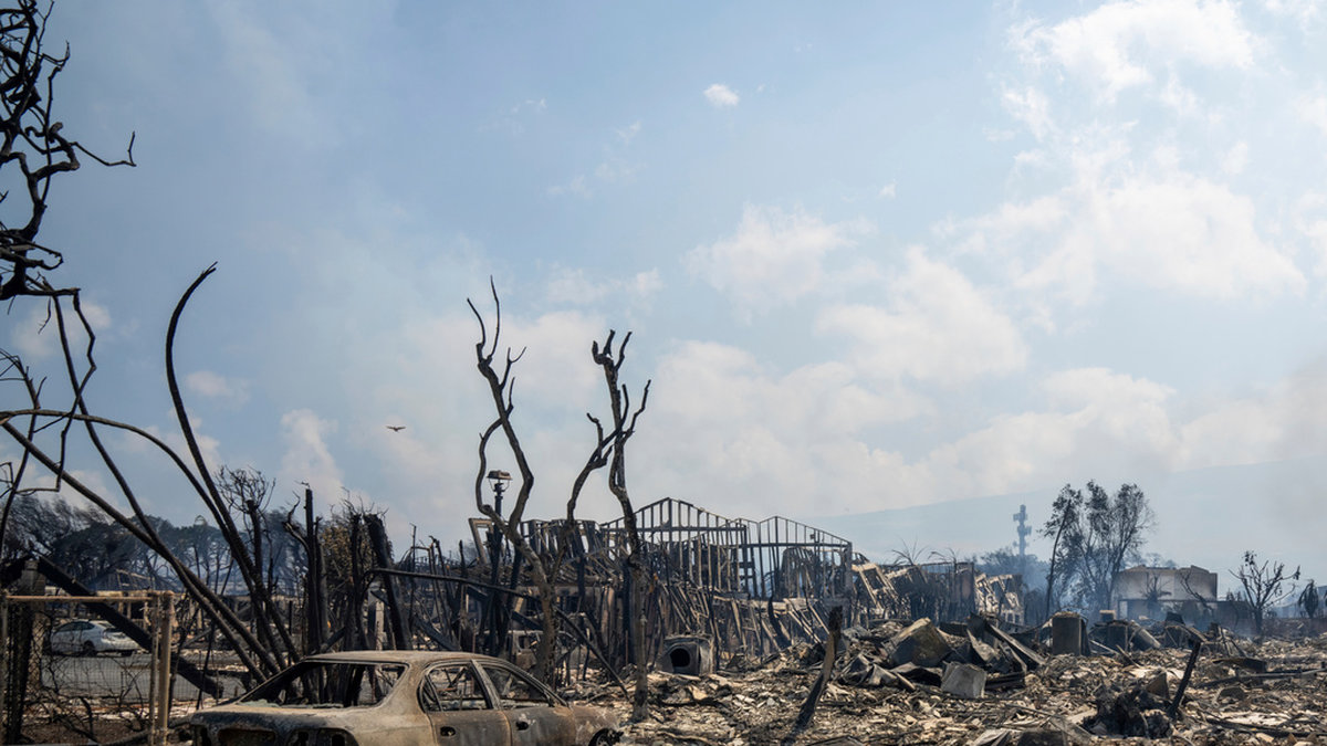 Förödelsen i Laihaina är stor efter de kraftiga skogsbränderna.
