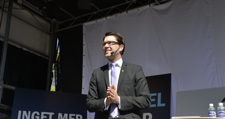 Michael Rosenberg, Sverigedemokraterna, Folkhögskola, EU-valet, Helsingborg