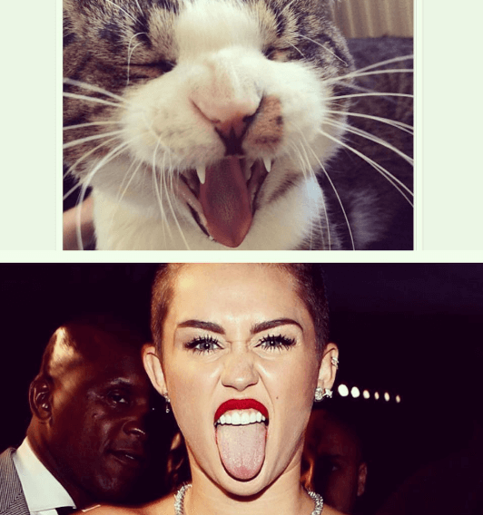Miley Cyrus. Miley Cyrus.