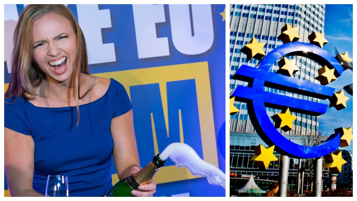 Sara Skyttedal EU europaparlamentet