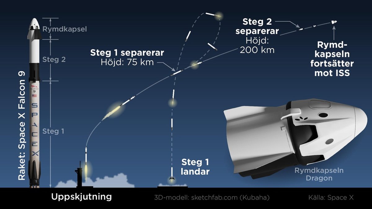 Raketen Falcon 9 som ska föra astronauterna, bland andra Marcus Wendt, till ISS består av två raketsteg. Det första återvänder till jorden och kan användas vid fler uppskjutningar.