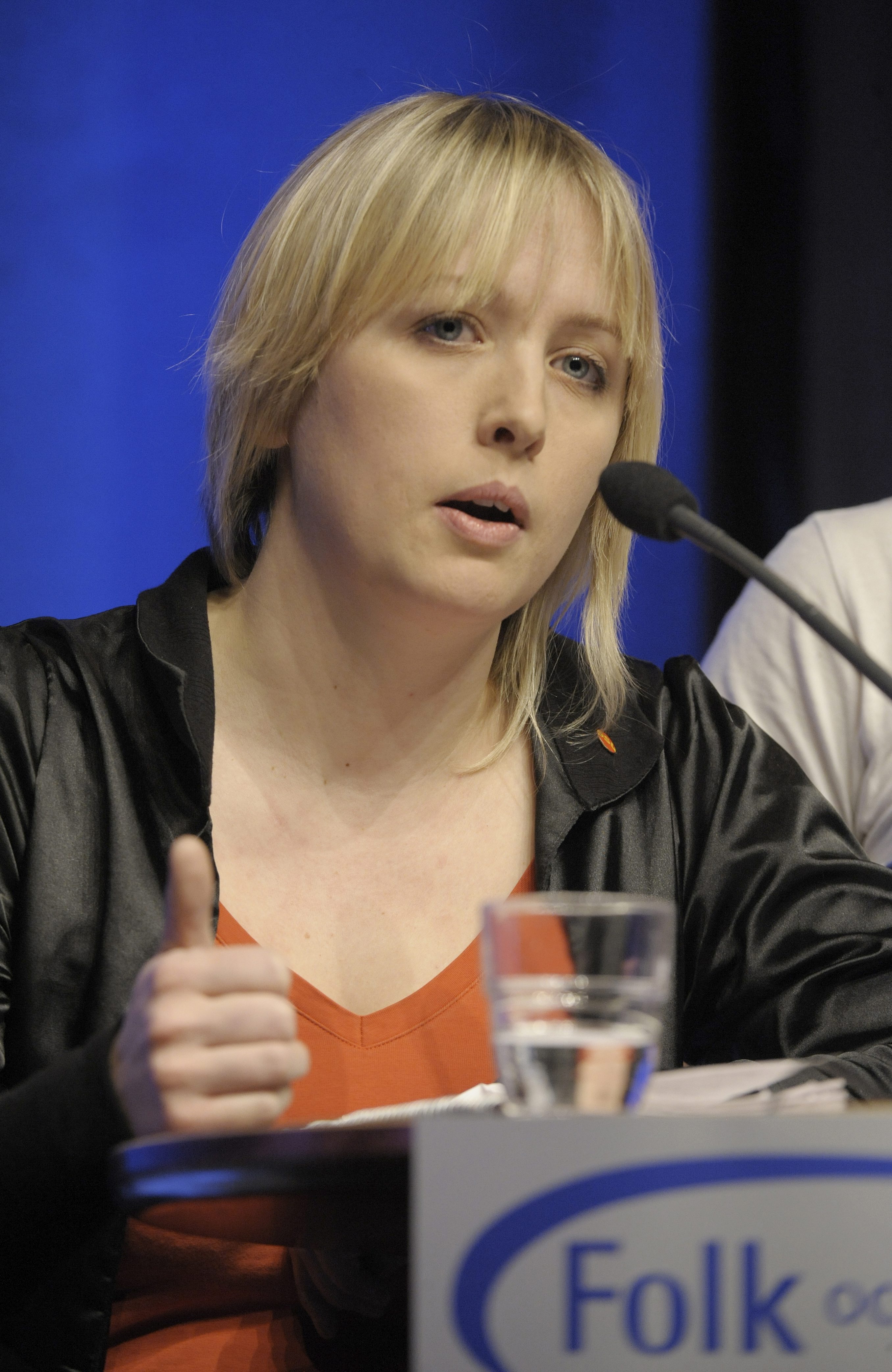 Socialdemokraterna, Mona Sahlin, Riksdagsvalet 2010, Partistyrelsen, Jytte Guteland, SSU