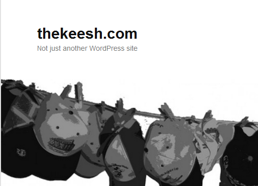 thekeesh.com