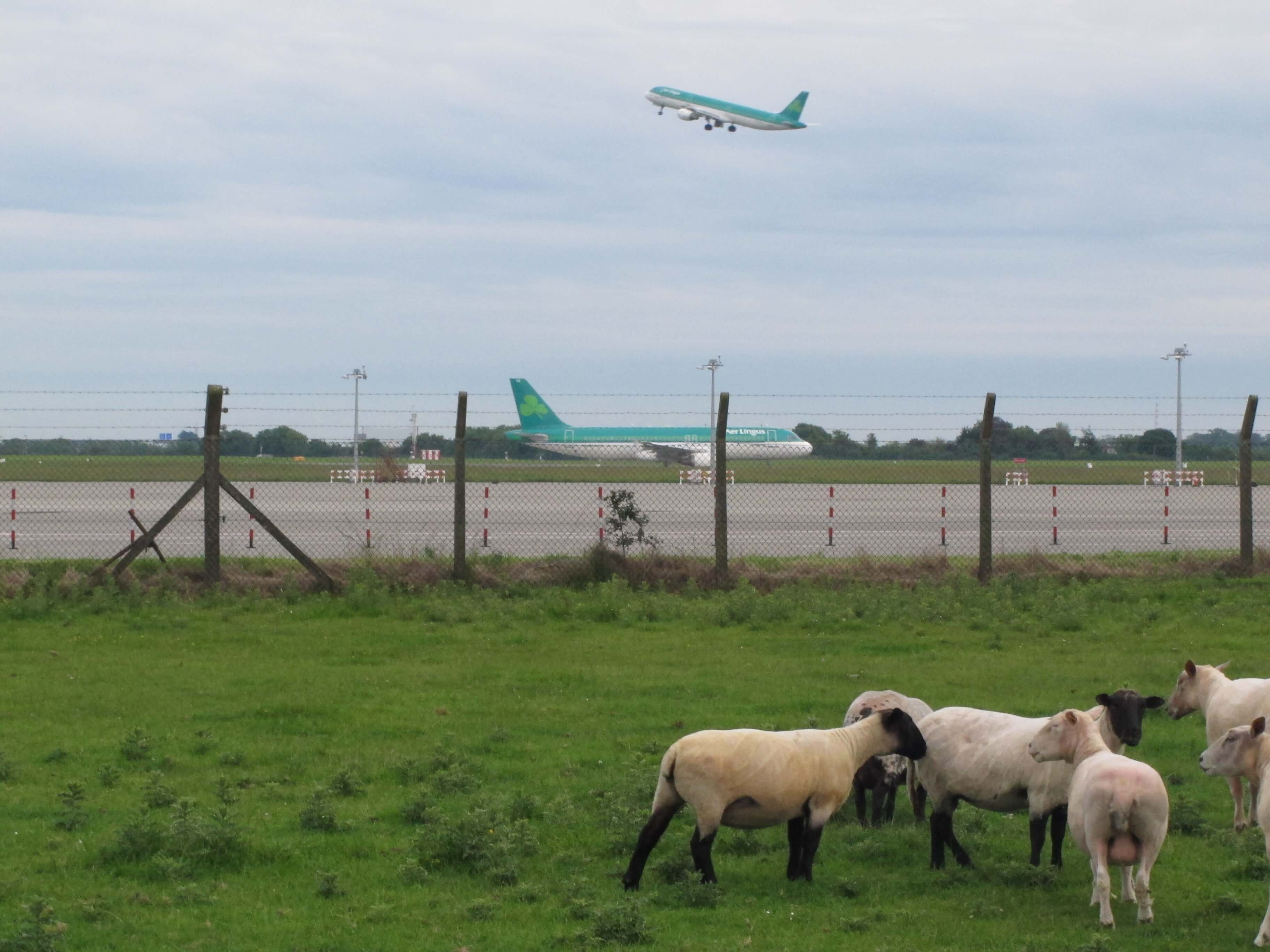 10. Irland 10. Irland