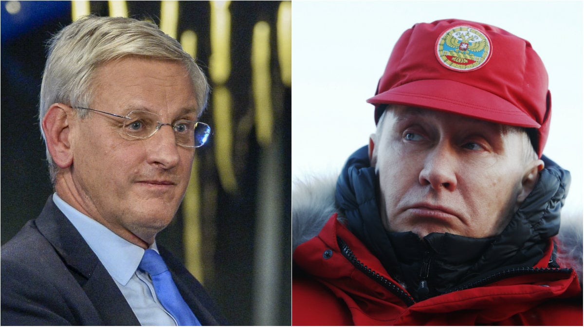 Carl Bildt, Ryssland, Vladimir Putin