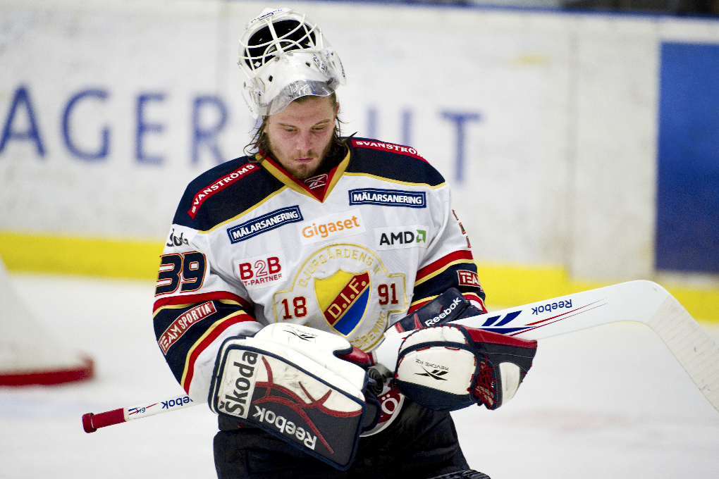 Stefan Ridderwall, elitserien, HV71, Djurgården IF