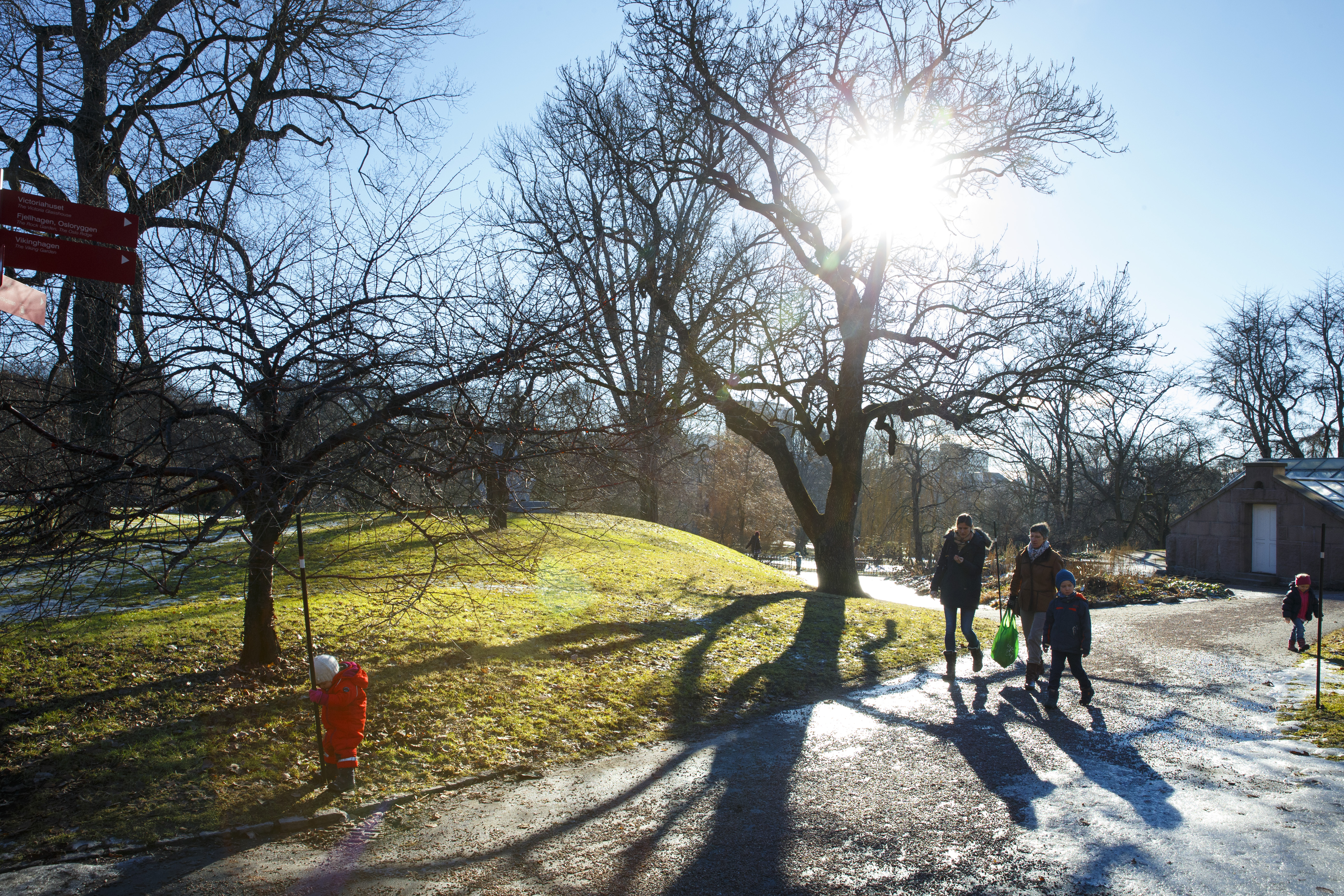 Vår i Oslo Vår i Oslo