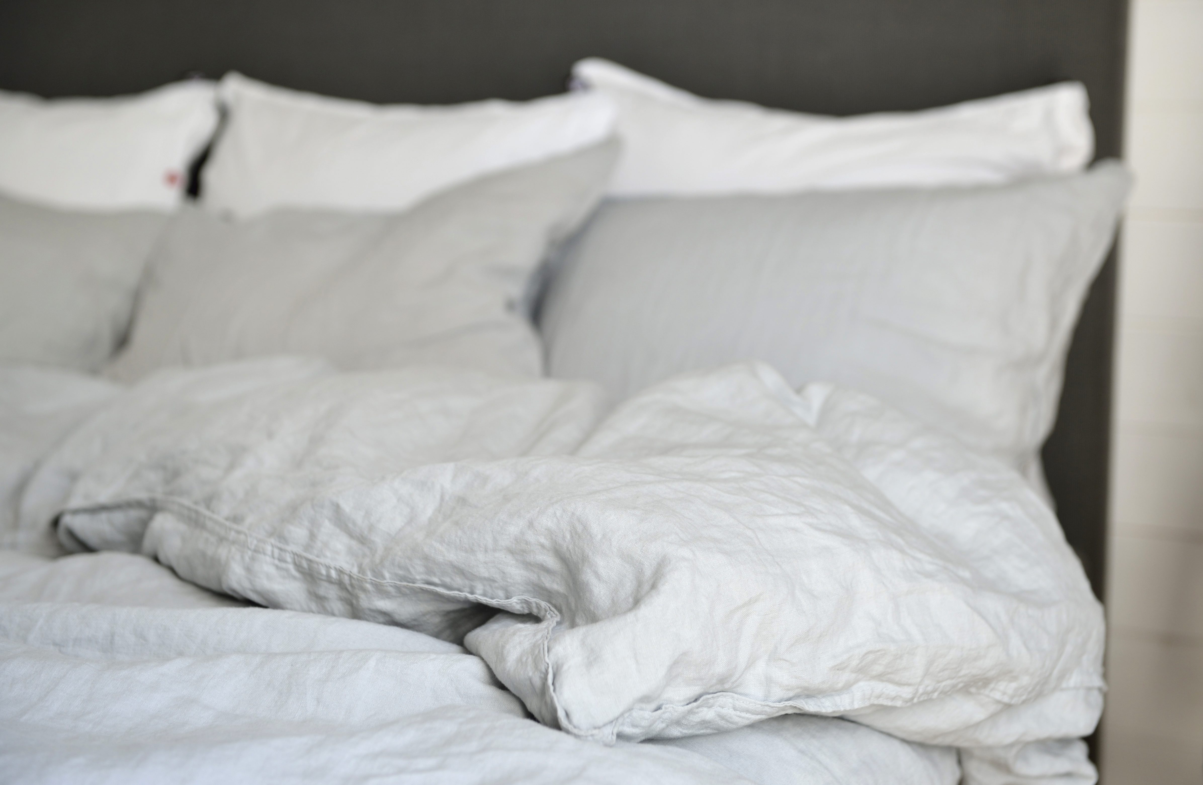 Visste du att du delar säng med en massa damm-kvalster?