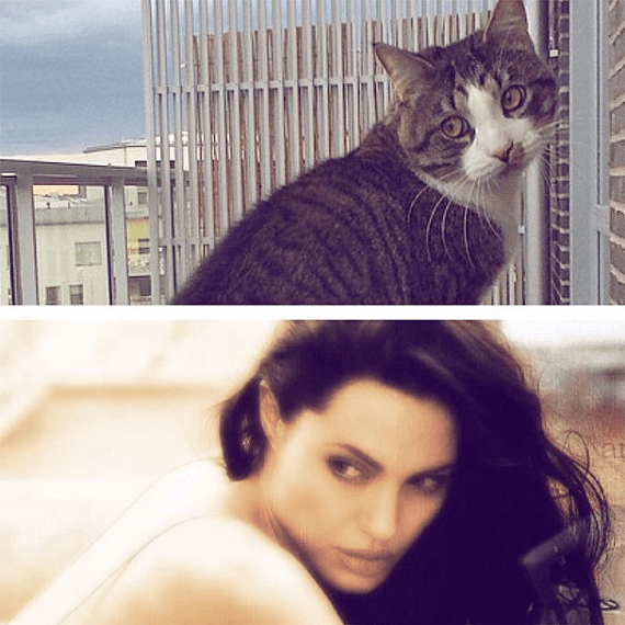 Angelina Jolie. Angelina Jolie.