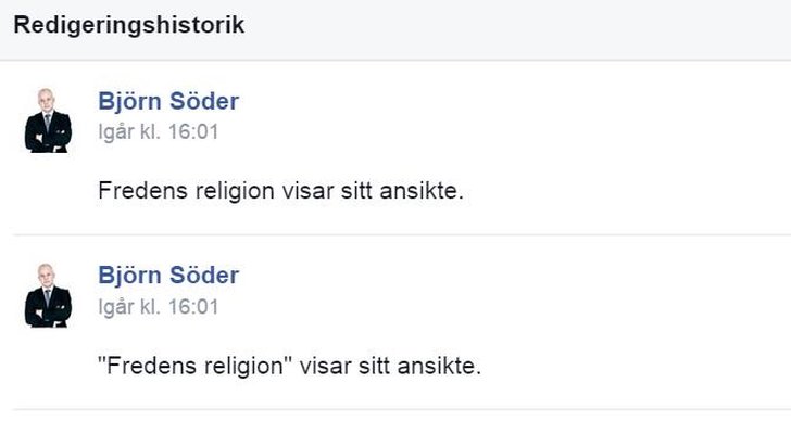 Björn Söder, Veronica Palm, Facebook, Kritik